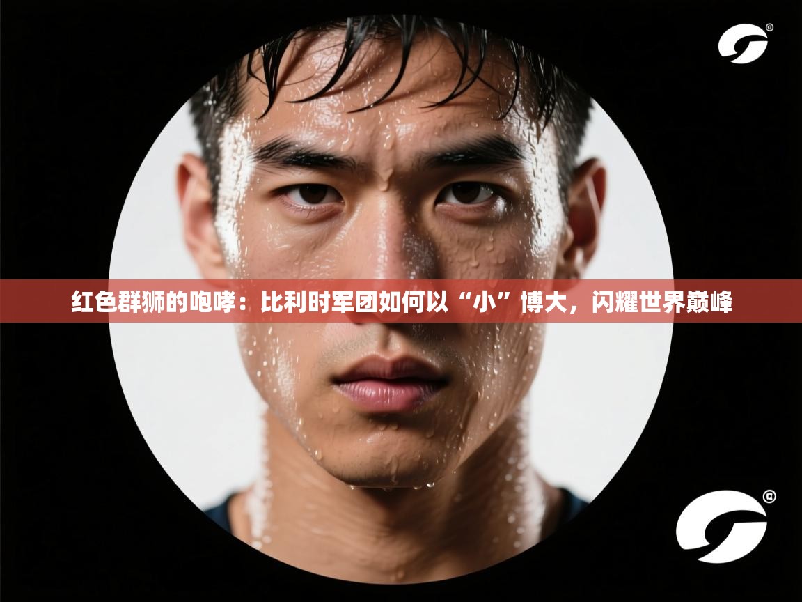 红色群狮的咆哮：比利时军团如何以“小”博大，闪耀世界巅峰  第1张