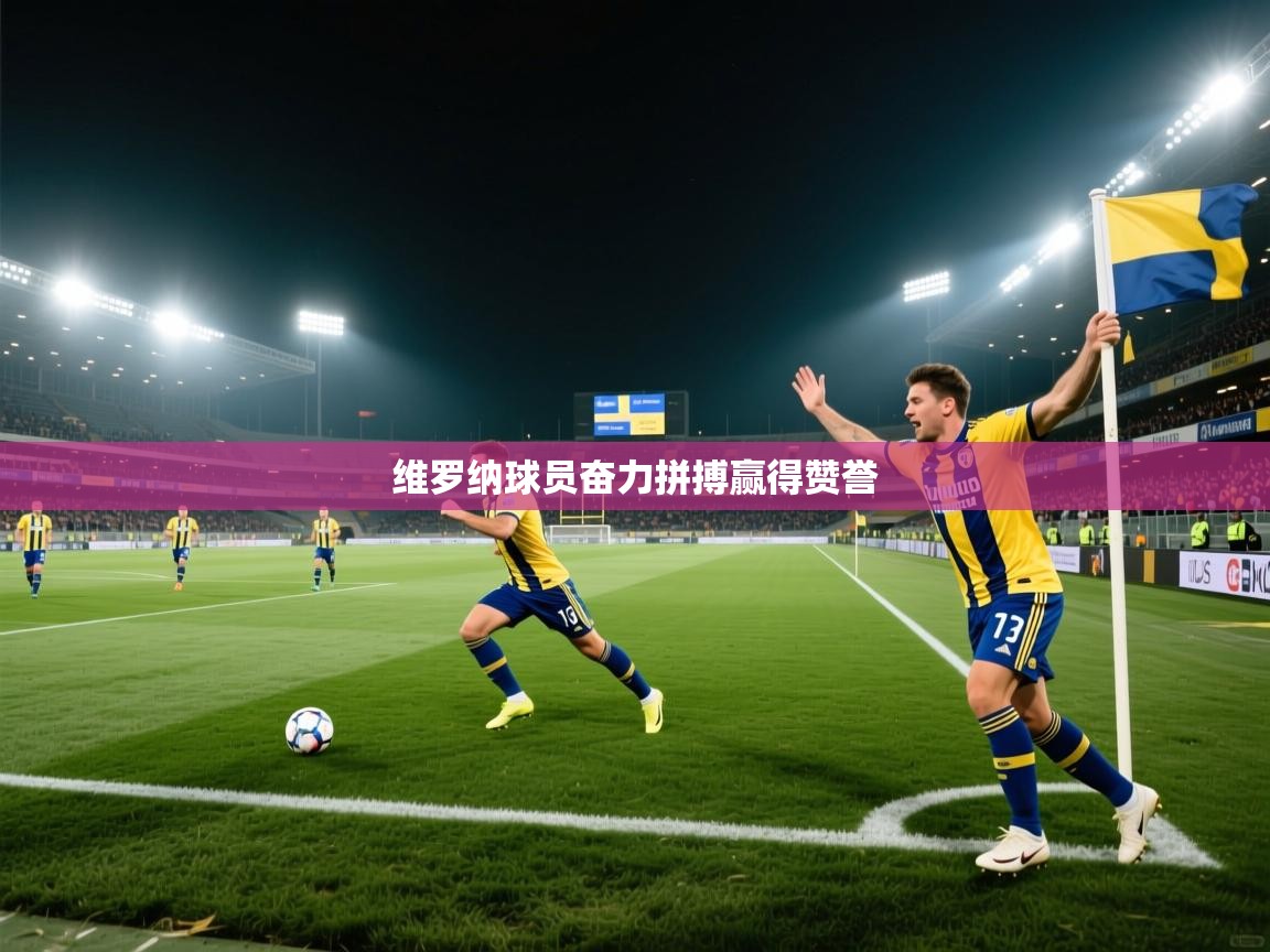维罗纳球员奋力拼搏赢得赞誉